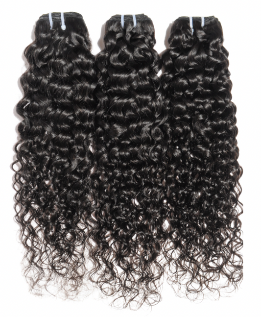 Signature Burmese Curly